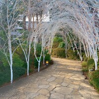 横浜うかい亭 - 