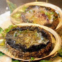 活鮑 Live abalone
