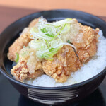 みどり湖パーキングエリア（下り） フードコート - 料理写真:ねぎ塩山賊丼☆