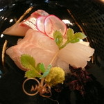 祇園 櫻川 - 鯛・烏賊・シマアジ