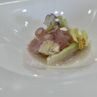 RISPETTO - 