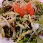 I Love Gyoza アキバの竜王 - サラダ