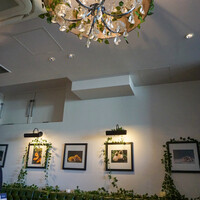 Shangri-La’s secret 表参道店 - 