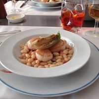 Benoit Alain Ducasse - 