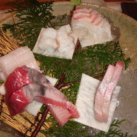 魚匠 銀平 心斎橋店 - 造り5種類