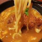 お食事処 ごちそう屋 - うどんの感じ