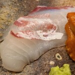 道人 - ④真鯛(兵庫県明石産)
      産卵期で浅瀬にのっこむ真鯛が沢山獲れるのですが、卵に栄養を取られ状態は良くない
      1千匹に1匹位の比率で特別個体がいます
      そういう個体で手当てが良く旨みが極上