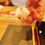 恵比寿 鮨 ふじまさ - 車海老　手前の黄土色は全部ミソ