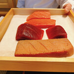 恵比寿 鮨 ふじまさ - 本日のマグロ(高知県産)