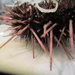 しらさぎの宿 丸福 - つのがまだ動いています。