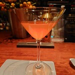 BAROSSA cocktailier - 