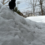 セイコーマート - 