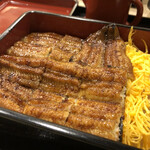 Unagi Sora - 