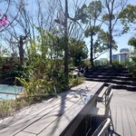 スターバックス コーヒー 東急プラザ表参道オモカド店 - おもはらの森