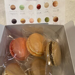 マカロンアラミーナ - 