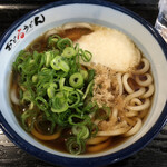 Odoru Udon - 