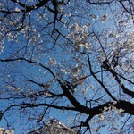 煮干し中華そば 一剣 - いいお天気