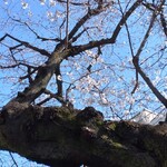 煮干し中華そば 一剣 - まだこれからですね