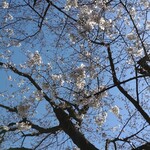 煮干し中華そば 一剣 - 水曜日以降雨らしい