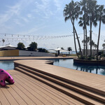 ザ・ルイガンズ - 