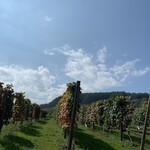 ジンギスカン白樺 - 