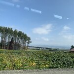 ジンギスカン白樺 - 