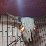 一条流がんこ総本家分家四谷荒木町 - 