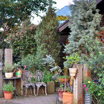 ルイジアナママ - 