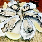 Trattoria Da KENZO - 