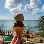 ブルーシール デポアイランド店 - 