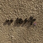 伊勢 福多亭 - 入口には控えめに店名が