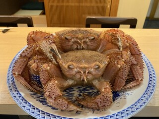 h Shokudou Tsuki - 毛蟹などご要望があればどんな食材でも仕入れて
          ご提供させて頂きます