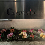 Convivio - 