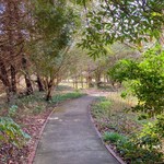 カフェブロッサム - 