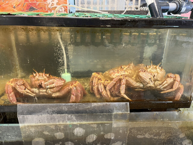 鱗商会堺町店 - 南小樽（海鮮）の写真