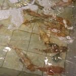 和食 うおたつ - 生け簀の近くテーブル席でした