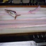 味道楽 なかえ - 大分産の活け〆はもです。湯じも刺身又は、吸い物でどうぞ。
