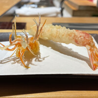 銀座 よこ田 -  銀座 よこ田 -