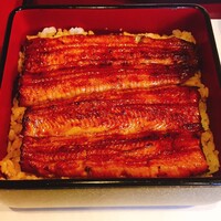 鰻割烹 伊豆栄 本店 - 