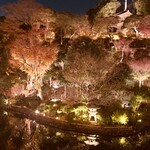 日本料理 みゆき - 