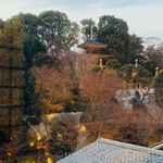 日本料理 みゆき - 