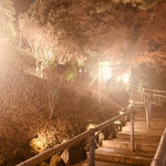 日本料理 みゆき - 