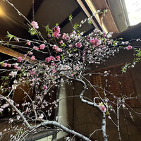 俵屋旅館 - 