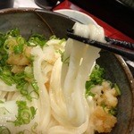 極浄うどん うだま - 