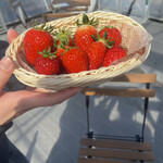 ボンガーデン - 