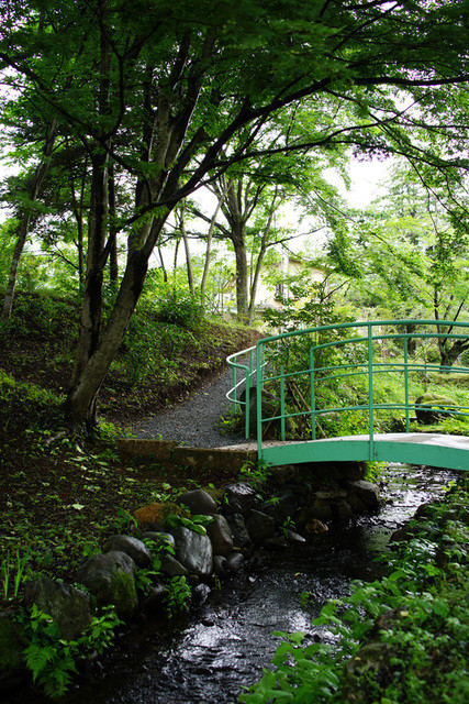ドットーレ（Dottore） - 仙台市太白区その他（ピザ）の写真