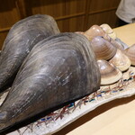 富小路 やま岸 - 本日の出演者