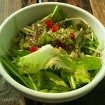 スパイスカフェ - サラダ