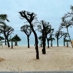 シーフォレスト - 