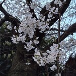 立呑み晩杯屋  - 今が旬か？